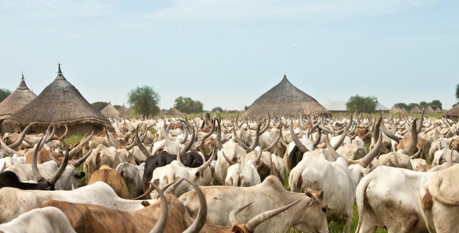 The Directorate of Processing, Marketing, and Value Chain Integration is tasked with transitioning Borno State from a raw exporter of live animals into a highly industrialized, modern hub for processed livestock commodities.