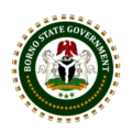 Borno state government