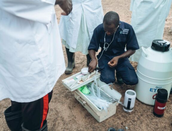 The Directorate of Animal Health Services is Borno State’s primary line of defense against animal epidemics and transboundary diseases. By combining active field surveillance with modern digital tracking engines, this pillar secures the health of Borno’s livestock population