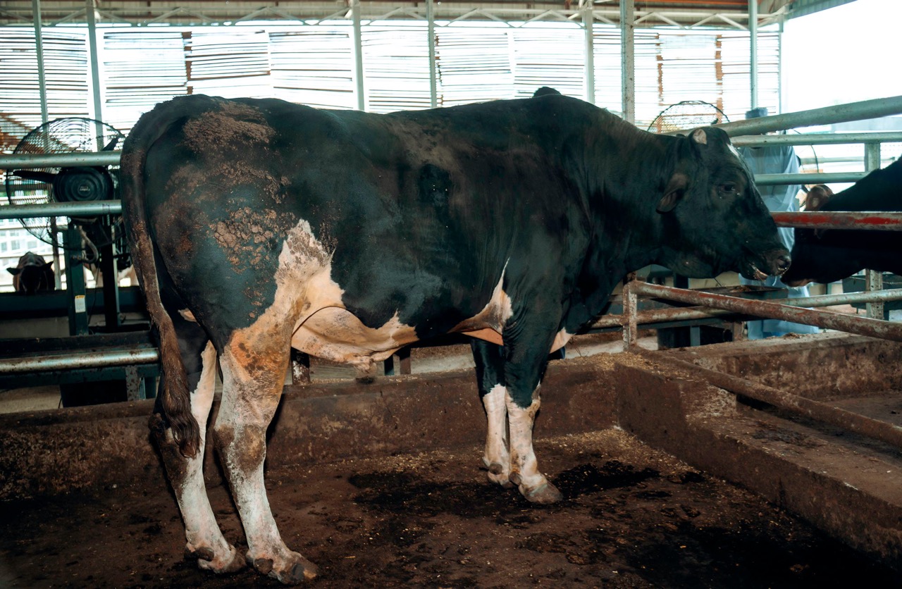 Dedicated farmers working together to bring fresh, high-quality produce from field to table.